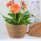 Veemoon 2pcs Wicker Planter Basket, Rustic Straw Woven Flower Basket Arrangement Flower for Plants Laundry Bin Storage Woven Plant Pot Hanging Seaweed Girl Toddler Hanging Seaweed 10. 41x10. 41x7.