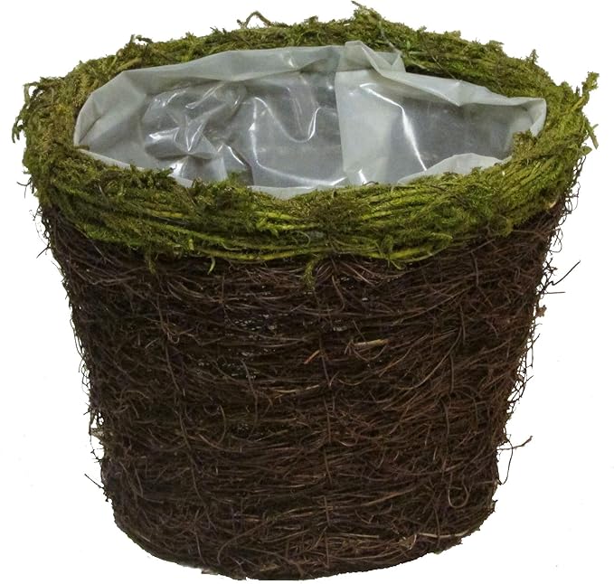 Admired By Nature Moss Rim 6" w/Soft Liner Natural Grapevine Pot