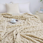 Aganear Blanket Queen Size - Fuzzy Cozy Soft Blanket for Couch, Sofa, Bed, Office, Decorative Present for All Seasons, Portable Throw Blankets for Couch, Sofa, Bed(90"x90", Khaki)