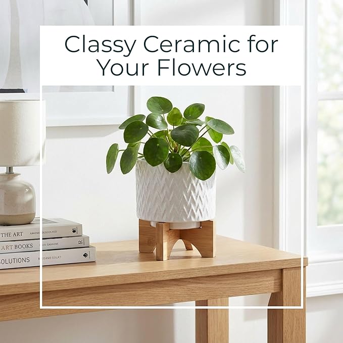 Ceramic Planter with Elevated Stand – Bamboo Indoor Plant Stand, Display for Greenery, Shelf or Patio Placement – Textured Round Design for Sculptural Height, Home Decor, Outdoor Decor – 8", White