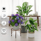 5-Pack Heavy Duty Flower Pot Stands Holder for Multiple Plant,Potted Plant Holder Round Plant Shelf for Planter for Living Room,Garden Home
