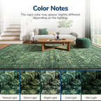 Lessymo 5x7 Washable Area Rug with Non Slip Backing,Soft Boho Indoor Carpets for Living Room Bedroom Nursery, Kid and Pet Friendly, Green