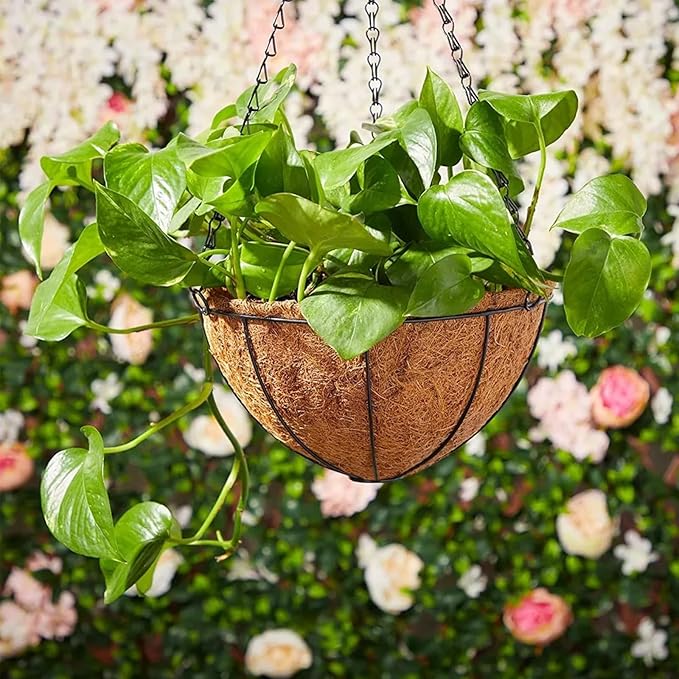 Hanging Baskets Planter for Plants - 4 Pack 10 Inch Metal Baskets with Coco Coir Liner, Hanging Flower Pots for Outside with Chain, Indoor Outdoor Garden Porch Decoration (10'' Pack of 4)