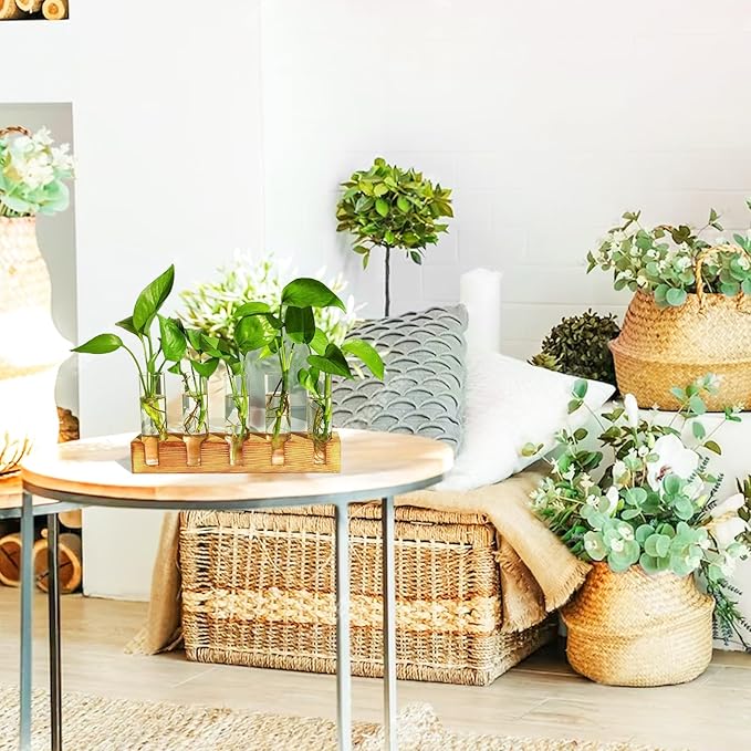 Plant Propagation Station, Plant Terrarium with Wooden Stand for Hydroponics Plants Office Decor Unique Gardening Gifts for Women Plants Lovers - 10 Glass Test Tube Vases