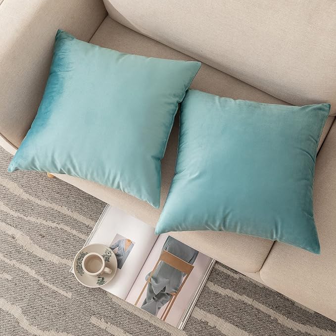 NiNi ALL Decorative Throw Pillow Covers Pack of 2, Velvet Cushion Case for Couch Bedroom Living Room Outdoor, Pillow Covers 24x24 Inch（60 x 60 cm） Light Blue