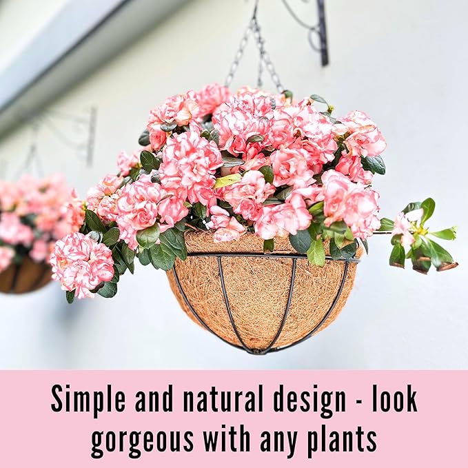 LaLaGreen Hanging Baskets Outdoor - (8 Inch, 2 Pack) Hanging Planters Outside with Coco Liner, Small Round Flower Pots Hanger Metal Wire Holder Outdoor Porch Patio Modern Deck Balcony Garden Decor