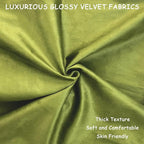 2 Pack 18x18 Pillow Cover Velvet Pillow Covers, Square Throw Pillow Covers for Living Room Decorations Throw Pillow Case, Throw Pillow Cover Cushion Cover for Sofa Bedroom Car, Emerald Green Velvet