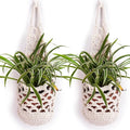 2PK Hanging Planter for 6 Inch Pot, Wall Planters for Indoor Plants (White)