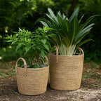 Set of 2 Woven Seagrass Planter Baskets with Handles – Handwoven Plant & Flower Pots for Indoor or Outdoor Use, Natural Straw Storage Baskets for Laundry Room, Living Room & Home Decor