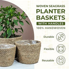 Set of 3 Woven Seagrass Planter Baskets – Handwoven Decorative Storage Baskets for Indoor Plants, Boho Home Decor, Living Room & Entryway Display – No Handle Design