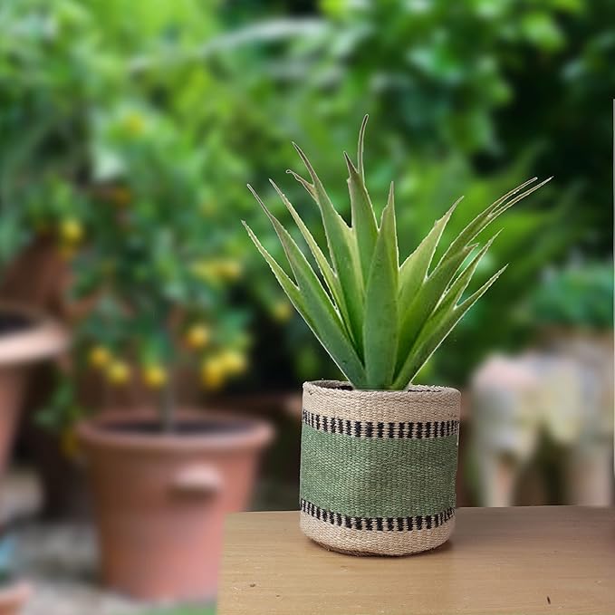 Sturdy Jute Planter Basket Modern Woven Basket for 6" Flower Pot Floor Indoor Planters, 6” x 6” Storage Organizer Basket Rustic Home Decor, Boho Storage Earth-Friendly Planter (6x6 inches, Green 6)