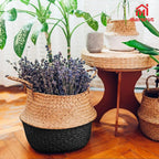 2Pcs Basket for Plant Artificial Trees, 13x11 Inch Seagrass Wicker Pots, Woven Planter Set Eco-Friendly Round Boho Holder Base with Handles for Home Decor Indoor Storage Solution, Black Bottom Pattern