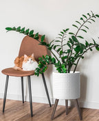 D'vine Dev 12 Inch Modern Geometric Tile Patterned Sleek Planter Pot with Stand, Indoor Outdoor Decorative Plant Holder, Matte White, 88-Z-C-1