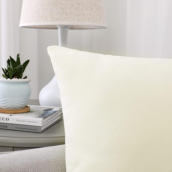 NiNi ALL Decorative Throw Pillow Covers Velvet Soft for Couch Sofa Bedroom Living Roomg Outdoor Pack of 2 20x20 Inch Cream White