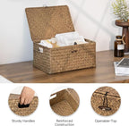 StorageWorks Wicker Baskets with Lid for Organizing, Seagrass Storage Baskets for Shelves, Decorative Box with Built-in Handles, Brown, Large, 1 Pack