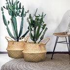 Qunclay 4 Pcs Woven Seagrass Baskets Belly Basket Folding Boho Natural Plant Pot with Handles Round Decorative Wicker Large Indoor Planter for Home Outdoor Tree Planters Decor (M,8.46''dx8.66''h)