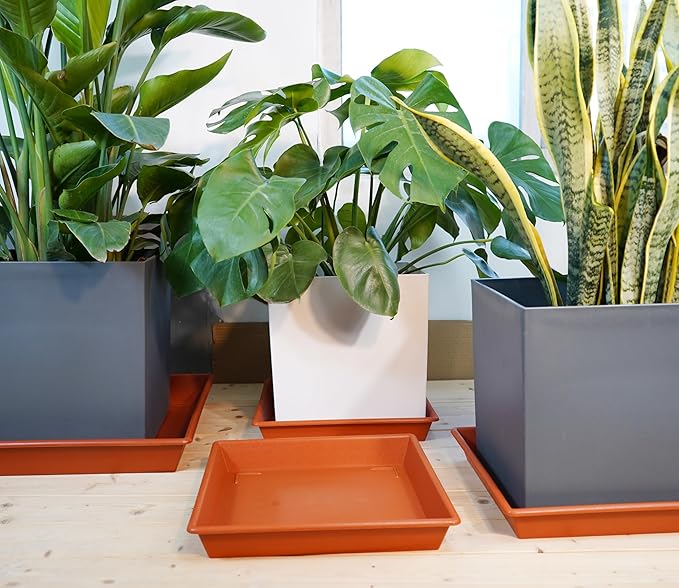 Square Plant Saucer 12 Inch 5 Pack, Plant Stand Plant Trays for Pots Heavy Duty Plastic Plant Saucers for Indoors Outdoors, Flower Pot No Holes Terracotta Plant Lover Gardening Gifts