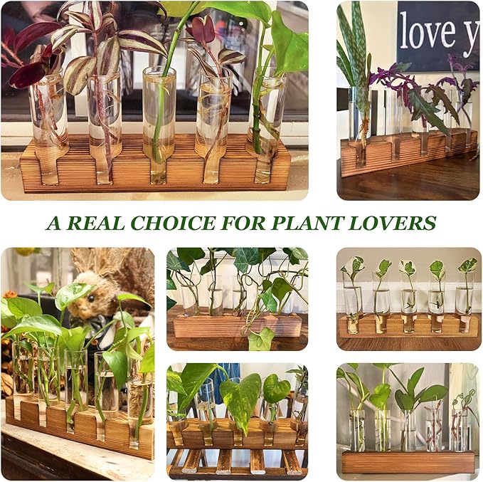 Plant Propagation Station, Plant Terrarium with Wooden Stand for Hydroponics Plants Office Decor Unique Gardening Gifts for Women Plants Lovers - 10 Glass Test Tube Vases