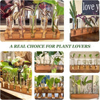 Plant Propagation Station, Plant Terrarium with Wooden Stand for Hydroponics Plants Office Decor Unique Gardening Gifts for Women Plants Lovers - 10 Glass Test Tube Vases