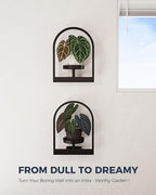 Bamworld Plant Stand Indoor, Plant Hanger Wall Planters for Indoor Plants Window Plant Shelves Plant Holder Wall Decor, Room Decor, Round (Patent Design)
