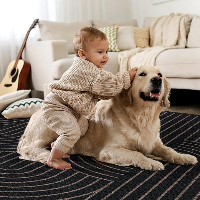 Tangsoo Rainbow Easy Jute Rug 2x4 Small Throw Rugs for Entryway,Washable Ultra Thin Outdoor Door Mat, Black Geometric Non-Slip Indoor Floor Carpet for Entrance Kitchen Hallway Bedroom Front Porch