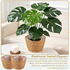 2PCS Seagrass Plant Basket for Indoor and Outdoor,Rattan Large Planter Basket with Liner for 6 inch Pot,Wicker Plant Pot Covers for Potted Plants,Woven Storage Baskets for Rustic Boho Farmhouse Decor