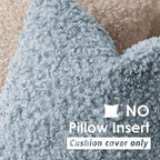 Foindtower 2 Pieces 18x18 Inch Misty Blue,Faux Fur Throw Pillow Cover Accent Sherpa Furry Pillow Covers Fuzzy Soft Pillowcases Cozy Sheepskin Decorative Fleece Cushion Case for Bed Couch Living Room