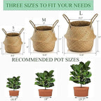 Yesland 2 Pack Woven Seagrass Plant Basket with Handles, Ideal Wicker Baskets Storage Plant Pot Baskets for Laundry, Picnic, Plant Pot Cover, Beach Bag and Grocery Basket (L)