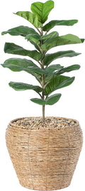 Vintiquewise Woven Round Flower Pot Planter Basket with Leak-Proof Plastic Lining - Large