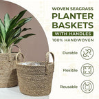 Set of 2 Woven Seagrass Planter Baskets with Handles – Handwoven Plant & Flower Pots for Indoor or Outdoor Use, Natural Straw Storage Baskets for Laundry Room, Living Room & Home Decor