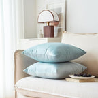 NiNi ALL Decorative Throw Pillow Covers Pack of 2, Velvet Throw Pillow Cases for Couch Pillows Cover Bedroom Living Room Outdoor Pillow Covers 24x24 Inch Baby Blue