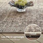 FMFUNCTEX 4x6 Washable Area Rug Neutral Vintage Taupe Non Slip Low Pile Traditional Indoor Carpet for Living Room Bedroom Soft Retro Floral Mat Throw Rug for Dining Office Kitchen Dorm Entryway