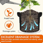 Gardzen 10-Pack 15 Gallon Grow Bags, 300G Thickened Fabric Grow Bags with Handles, Heavy Duty Aeration Plant Grow Bags