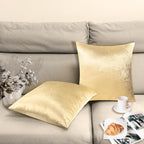 2 Pack 20x20 Pillow Cover Velvet Pillow Covers, Square Throw Pillow Covers for Living Room Decorations Throw Pillow Case, Throw Pillow Cover Cushion Cover for Home Sofa Bedroom Car, Champagne