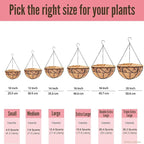 LaLaGreen Hanging Planter for Outdoor Plants (16 Inch, 6 Pack) Hanging Baskets with Coco Liner, Black Metal Wire Flower Basket Pots with Hook Hanger Balcony Porch Farmhouse Country Style Garden Decor