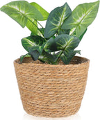 Woven Flower Basket Plant Pot with Plastic Liner Indoor Outdoor Decorative Rattan Planter for Small Plants Succulents and Home Garden