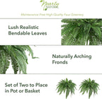 Nearly Natural 48in Artificial Boston Fern, Set of 2 - Large Hanging Fake Plant Wall Decor with 67 Fronds, Faux Fern Vines that Look Real for Home and Office Decor