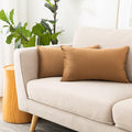 NiNi ALL Decorative Throw Pillow Covers Pack of 2, Velvet Cushion Case for Couch Bedroom Living Room Outdoor, Pillow Covers 12x20 Inch（30 x 50 cm） Brown