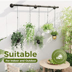 Bamworld Window Plant Hanger Indoor 63in Hanging Planters for Indoor Plants Hanging Plants Holder Hanging Rod Window Plant Shelves Wall Planters Pot/Chain/Plant Not Included(Black)