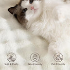 Bedsure 3x5 Fluffy Area Rugs for Living Room, Machine Washable Rugs, Non-Slip Backing, Non-Shedding, Pet Friendly Throw Rug for Bedroom Dining Room, Coconut White