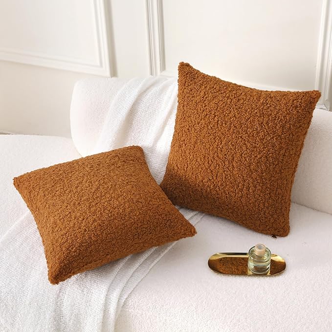 FUTEI Rust Throw Pillow Covers 20x20 Inch Set of 2,Furry Faux Fur Teddy Boucle Textured Cushion Covers,Soft Fluffy Decorative Pillow Case,Home Decor for Couch Bed Living Room Office Car