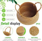 Large Wicker Plant Basket with Handle 10 Inch Woven Seagrass Belly Basket and Artificial Moss for House Plants Picnic Grocery Laundry Storage Home Decor(Small, Medium, Large,Original,3 Pack)