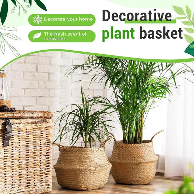 Large Wicker Plant Basket with Handle 10 Inch Woven Seagrass Belly Basket and Artificial Moss for House Plants Picnic Grocery Laundry Storage Home Decor(Large,Original,2 Pack)