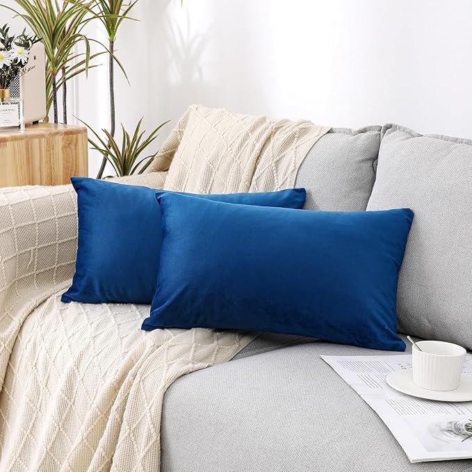NiNi ALL Decorative Throw Pillow Covers Velvet 12x20 Inch Pack of 2 Blue Cushion Covers Soft for Couch Sofa Bedroom Living Room Outdoor