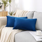 NiNi ALL Decorative Throw Pillow Covers Velvet 12x20 Inch Pack of 2 Blue Cushion Covers Soft for Couch Sofa Bedroom Living Room Outdoor