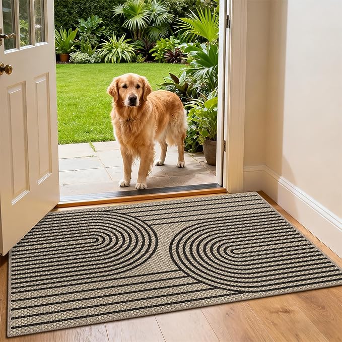 Outdoor Rug 2x3 Door Mat Easy Jute Entryway Porch Rug Indoor Foyer Outdoor Patio Low Pile Ultra-Thin Area Rug Washable Non-Slip Black Rainbow Throw Carpet for Front Door Entrance Floor Mats
