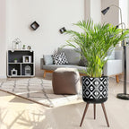 D'vine Dev 16 Inch Planter Pot with Stand, Mid-Century Tall Plant Pot with Legs for Indoor Plants, White/Black, 88-G-E-4