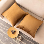 NiNi ALL Decorative Brown Throw Pillow Covers Pack of 2 Velvet 12x12 Inch Throw Pillow Cases for Couch Pillows Cover Bedroom Living Room Outdoor Pillows Cover