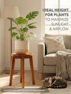 Demigo 15-Inch Tall Plant Stand for Indoor & Outdoor Use, Acacia Wooden Decorative Plant Shelf with Spill-Proof Tray, Flower Holder for Heavy Pots, Gardening Display - Natural Brown