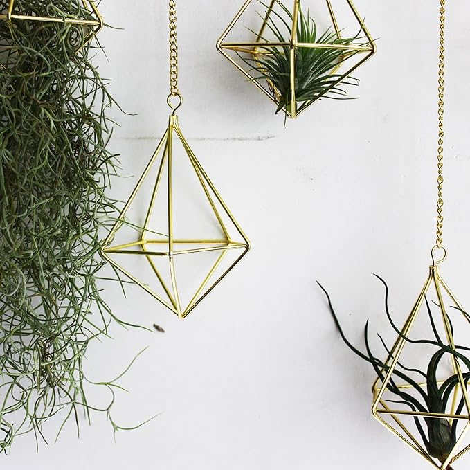Air Plants Live Holders 6 Pcs Glod Diamond Hanging Planter Small Air Plant Holders Unique with Chains Air Ferns Tillandsia Display for Indoor